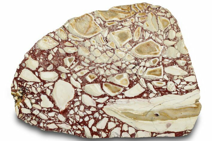 Polished, Brecciated Mookaite Slab - Western Australia #314450